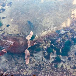 Florida Oceanographic Coastal Center - Stuart