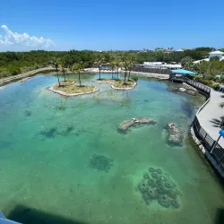 Florida Oceanographic Coastal Center - Stuart