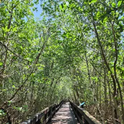Florida Oceanographic Coastal Center - Stuart