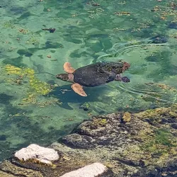 Florida Oceanographic Coastal Center - Stuart