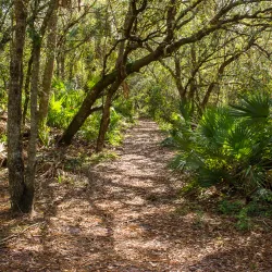 Halpatiokee Regional Park - Stuart