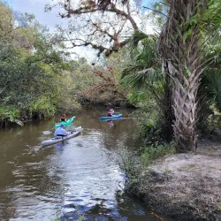 Halpatiokee Regional Park - Stuart