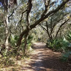 Halpatiokee Regional Park - Stuart