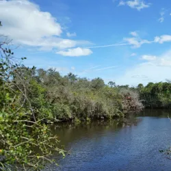 Halpatiokee Regional Park - Stuart