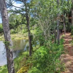 Halpatiokee Regional Park - Stuart