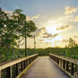 Riverwalk Boardwalk - Stuart