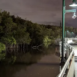 Riverwalk Boardwalk - Stuart