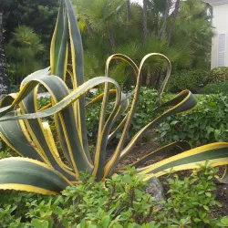 Sailfish Point Golf Club - Stuart