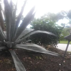 Sailfish Point Golf Club - Stuart