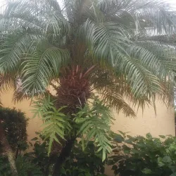 Sailfish Point Golf Club - Stuart