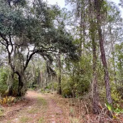 Bob Rumbaugh Nature Trail - Sun City Center
