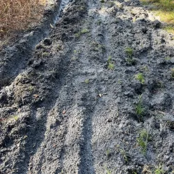 Bob Rumbaugh Nature Trail - Sun City Center