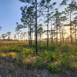 Bob Rumbaugh Nature Trail - Sun City Center