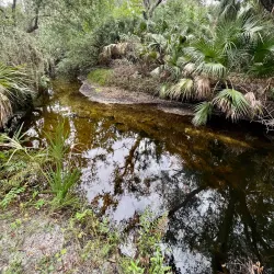 Bob Rumbaugh Nature Trail - Sun City Center