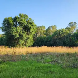 Bob Rumbaugh Nature Trail - Sun City Center