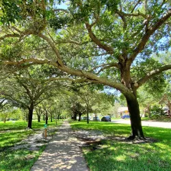 Crescent Lake Park - Sun City Center