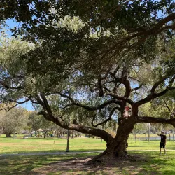 Crescent Lake Park - Sun City Center