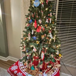 Kings Point Clubhouse - Sun City Center