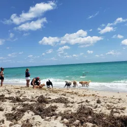 Haulover Park - Sunny Isles Beach