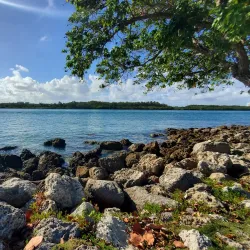 Haulover Park - Sunny Isles Beach