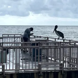 Pier Park - Sunny Isles Beach