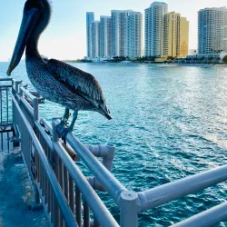 Pier Park - Sunny Isles Beach