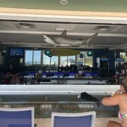 Sunny Isles Beach Cultural Center - Sunny Isles Beach