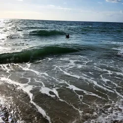 The Palace Sunny Isles - Sunny Isles Beach