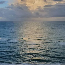 The Palace Sunny Isles - Sunny Isles Beach