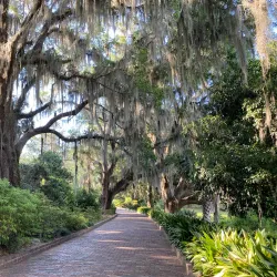 Alfred B. Maclay Gardens State Park - Tallahassee
