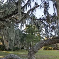 Alfred B. Maclay Gardens State Park - Tallahassee
