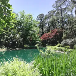 Alfred B. Maclay Gardens State Park - Tallahassee