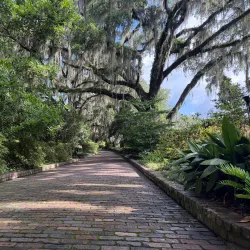 Alfred B. Maclay Gardens State Park - Tallahassee