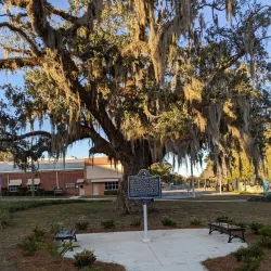 Cascades Park - Tallahassee