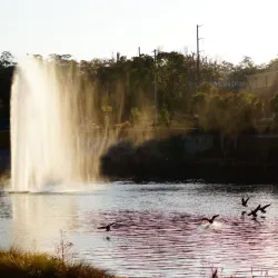 Cascades Park - Tallahassee