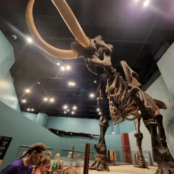 Museum of Florida History - Tallahassee