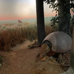 Museum of Florida History - Tallahassee