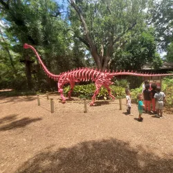 Tallahassee Museum - Tallahassee