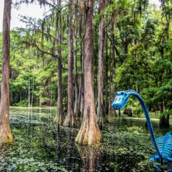 Tallahassee Museum - Tallahassee