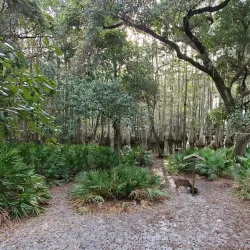 Tallahassee Museum - Tallahassee