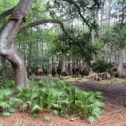 Tallahassee Museum - Tallahassee