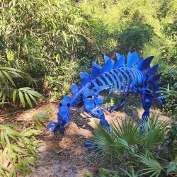 Tallahassee Museum - Tallahassee