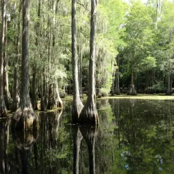 Tallahassee Museum - Tallahassee