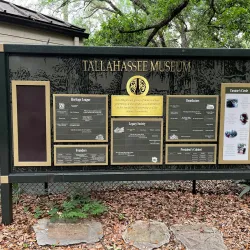 Tallahassee Museum - Tallahassee