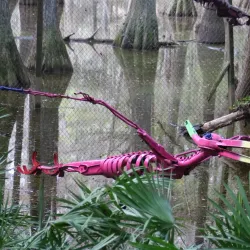 Tallahassee Museum - Tallahassee