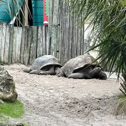 Busch Gardens Tampa Bay - Tampa