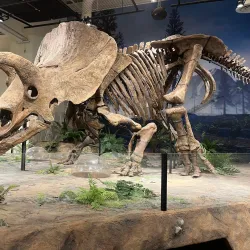 Glazer Children's Museum - Tampa