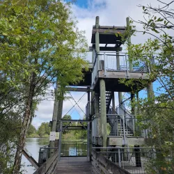 Lettuce Lake Park - Tampa