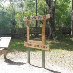 Lettuce Lake Park - Tampa