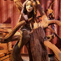 Tampa Bay History Center - Tampa